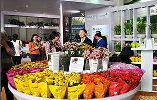 1755853488564.png 1755853488564.png